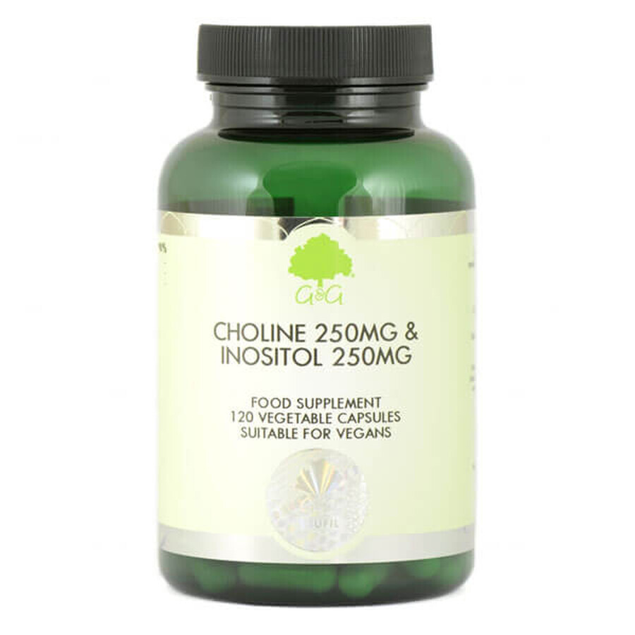 Winkel op G&G Choline 250 mg & Inositol 250 mg, choline en inositol, 120 capsules G&G Choline 250 mg & Inositol 250 mg, choline en inositol, 120 capsules