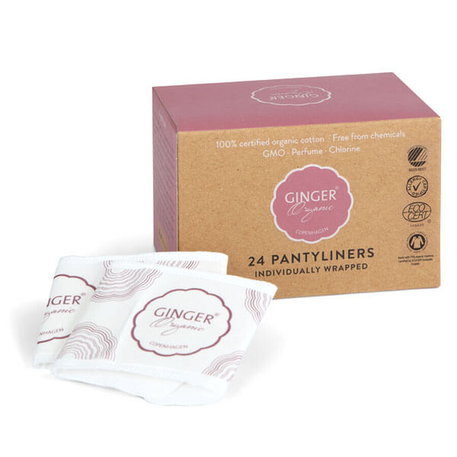 Acquista GingerOrganic, assorbenti igienici, 24 pz. GingerOrganic, assorbenti igienici, 24 pz.