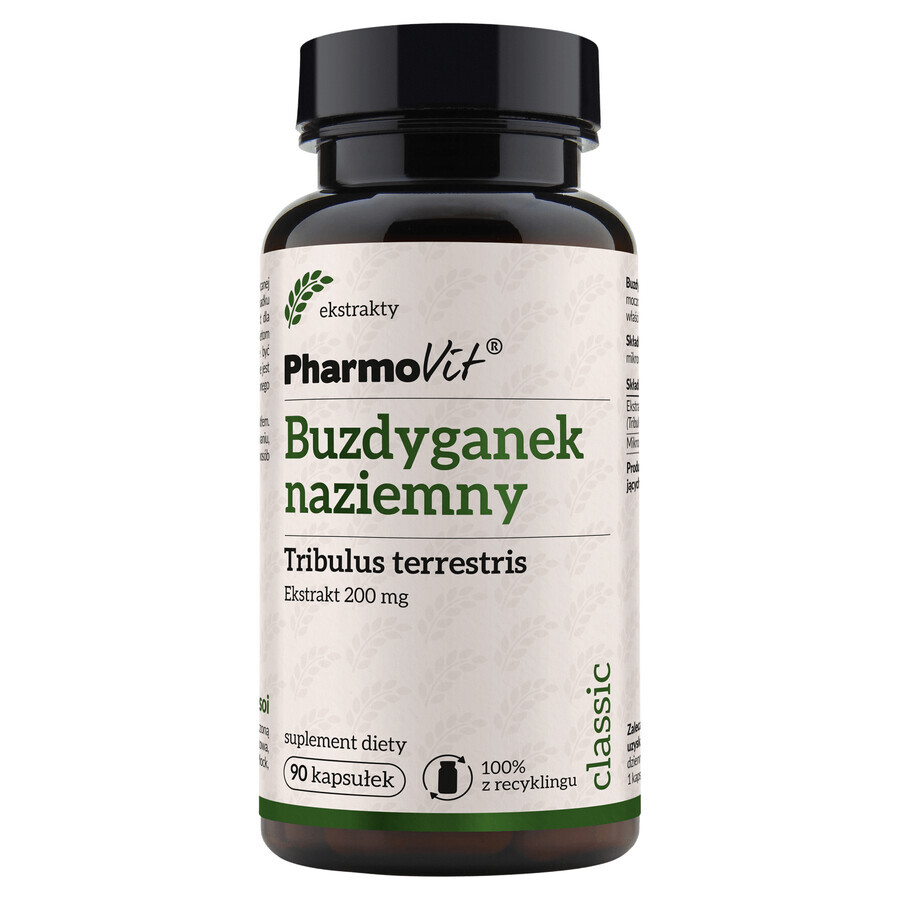 Shop PharmoVit Muskatblüte, 90 Kapseln PharmoVit Muskatblüte, 90 Kapseln