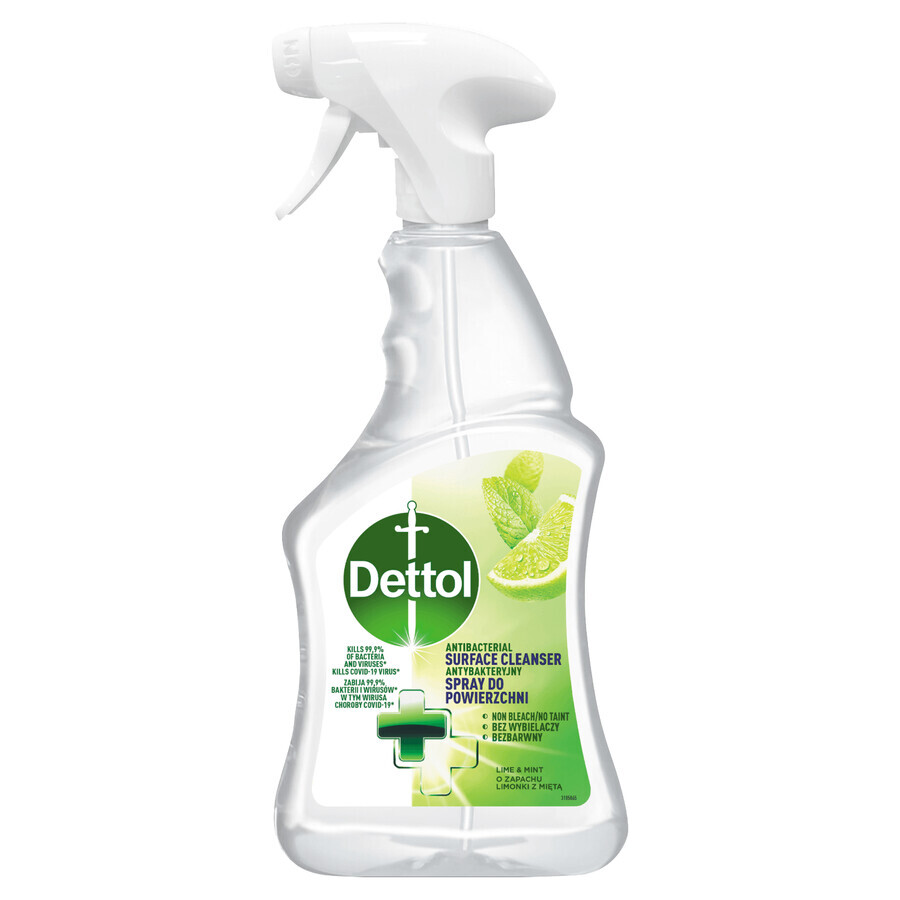 Buy Dettol Antibacterial Spray for Surfaces, Lime and Mint, 500 ml Dettol Antibacterial Spray for Surfaces, Lime and Mint, 500 ml