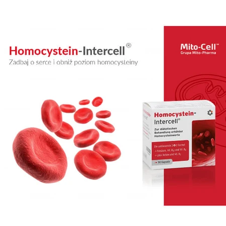 Mito-Pharma Homocysteïne Intercell, 90 capsules