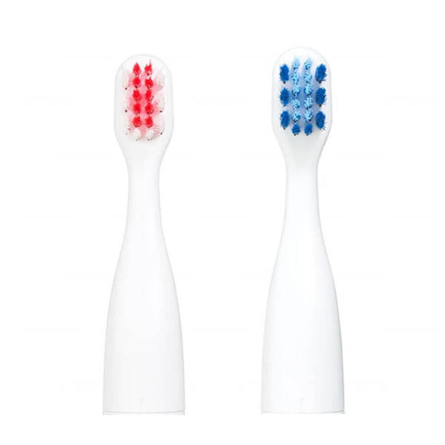 Buy Vitammy Smile, sonic toothbrush tips for children from 3 years old, 2 pieces Vitammy Smile, sonic toothbrush tips for children from 3 years old, 2 pieces