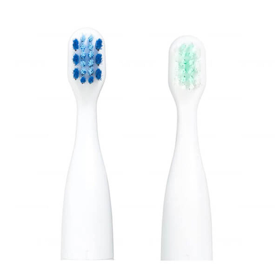 Comprar Vitammy Smile, puntas de cepillo de dientes sónicas para niños, a partir de 3 años, 2 piezas Vitammy Smile, puntas de cepillo de dientes sónicas para niños, a partir de 3 años, 2 piezas