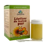 Reine Matcha-Milch, 25 g, Onedia