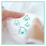 Pampers Premium Care, pañales, talla 5, Maxi, 11-16 kg, 58 piezas Pampers Premium Care, pañales, talla 5, Maxi, 11-16 kg, 58 piezas