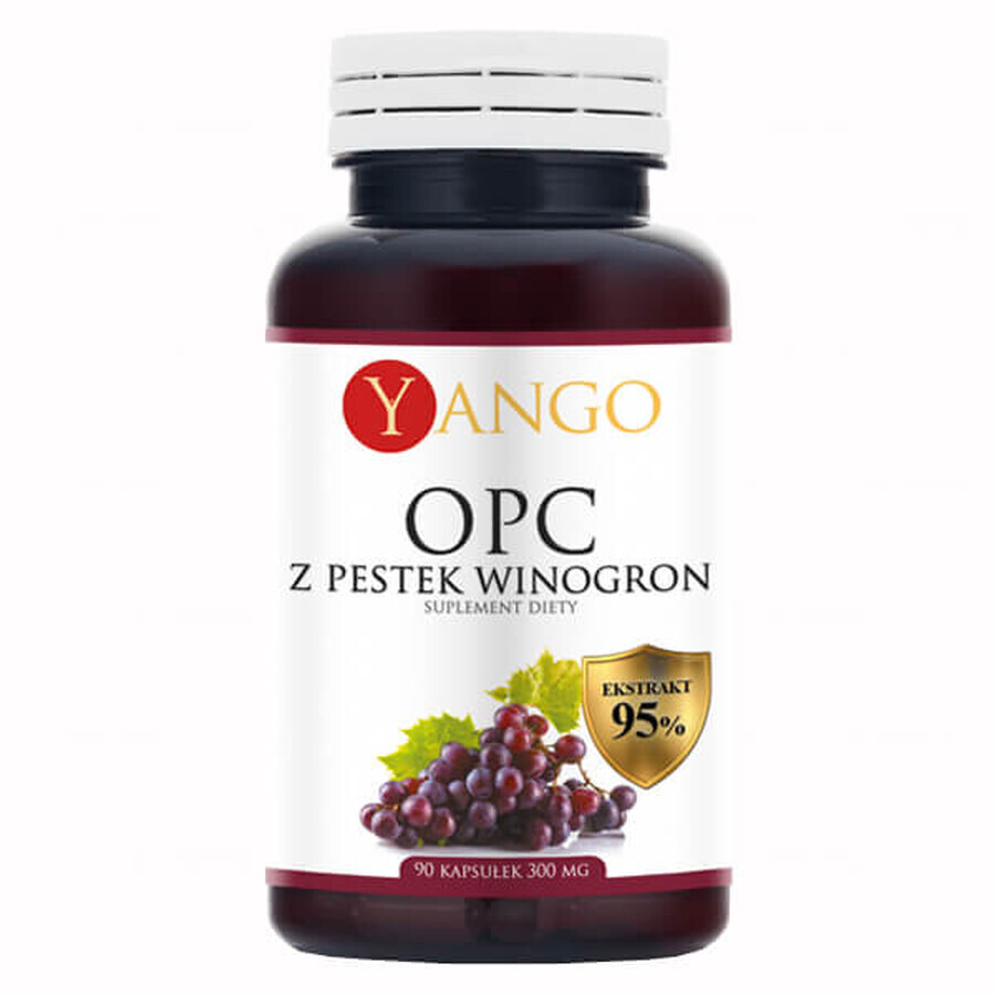 Buy Yango, grape seed OPC, 95% extract, 90 capsules Yango, grape seed OPC, 95% extract, 90 capsules