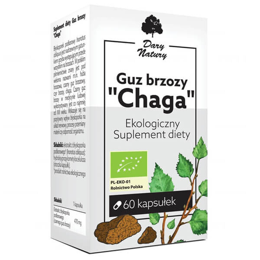 Shop Geschenk der Natur Chaga Birke Tumor, 60 Kapseln Geschenk der Natur Chaga Birke Tumor, 60 Kapseln