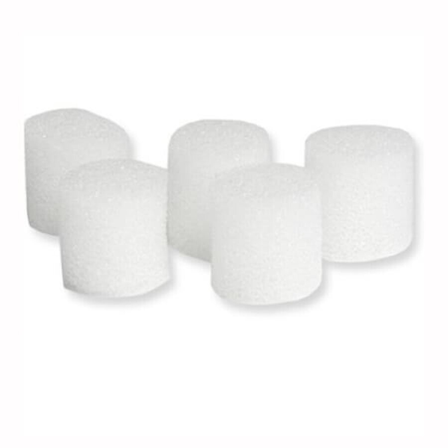 Acquista Filtro per nebulizzatore Controly Compact, 4 pezzi Filtro per nebulizzatore Controly Compact, 4 pezzi