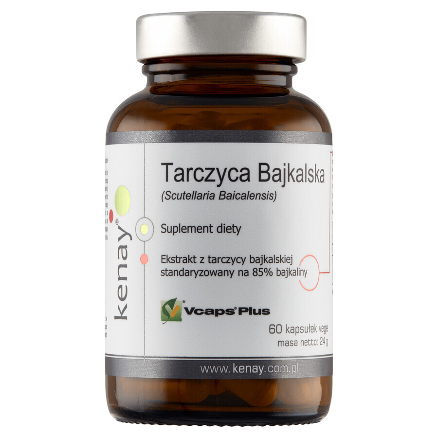 Shop Kenay, Baikal-Schilddrüse 800 mg, 60 Kapseln Kenay, Baikal-Schilddrüse 800 mg, 60 Kapseln