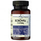 Herbapol Blueberry with Lutein+, 90 capsules