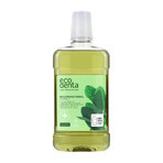 Ecodenta, multifunktionale Mundspülung mit Salbeiextrakt, Aloe Vera und Pfefferminzöl, 500 ml Ecodenta, multifunktionale Mundspülung mit Salbeiextrakt, Aloe Vera und Pfefferminzöl, 500 ml