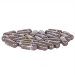 Aurospirul Kutki 350 mg, 100 capsules Aurospirul Kutki 350 mg, 100 capsules