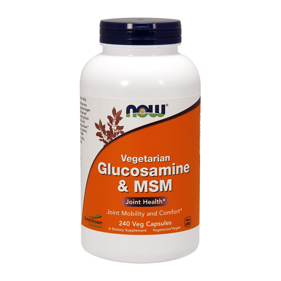 Shop Now Foods Glucosamin MSM, 240 vegetarische Kapseln Now Foods Glucosamin MSM, 240 vegetarische Kapseln