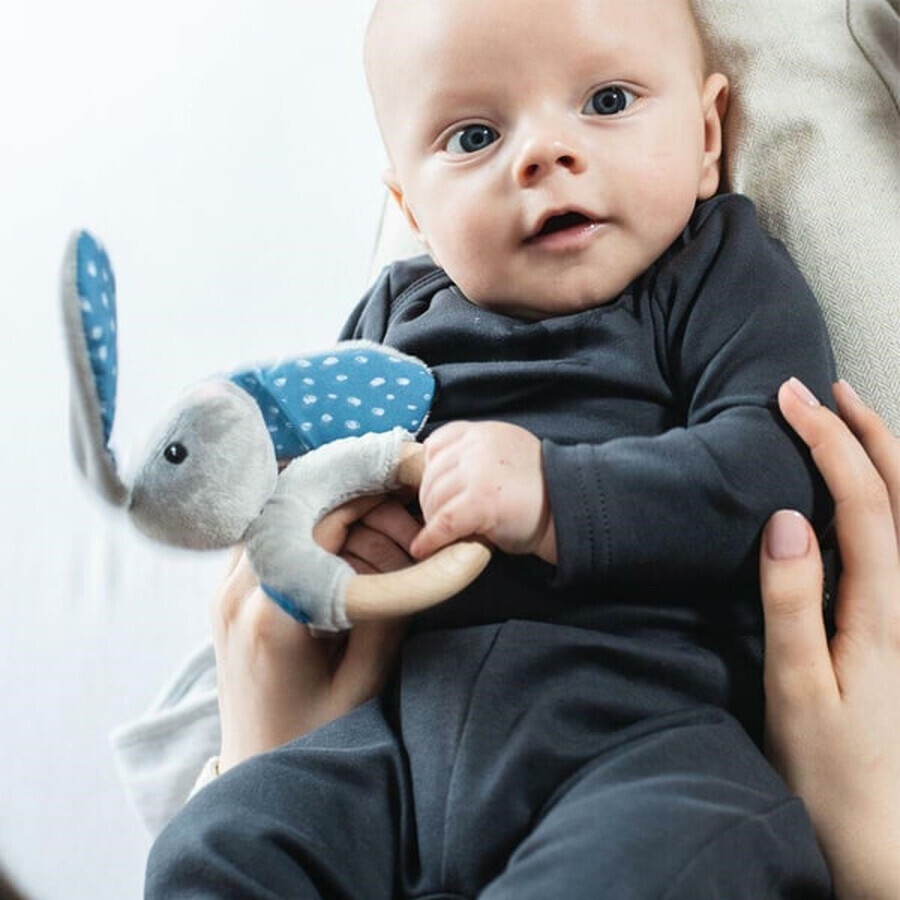 Whisbear, jouet de dentition en bois, lapin gris, après 3 mois, 1 pièce
