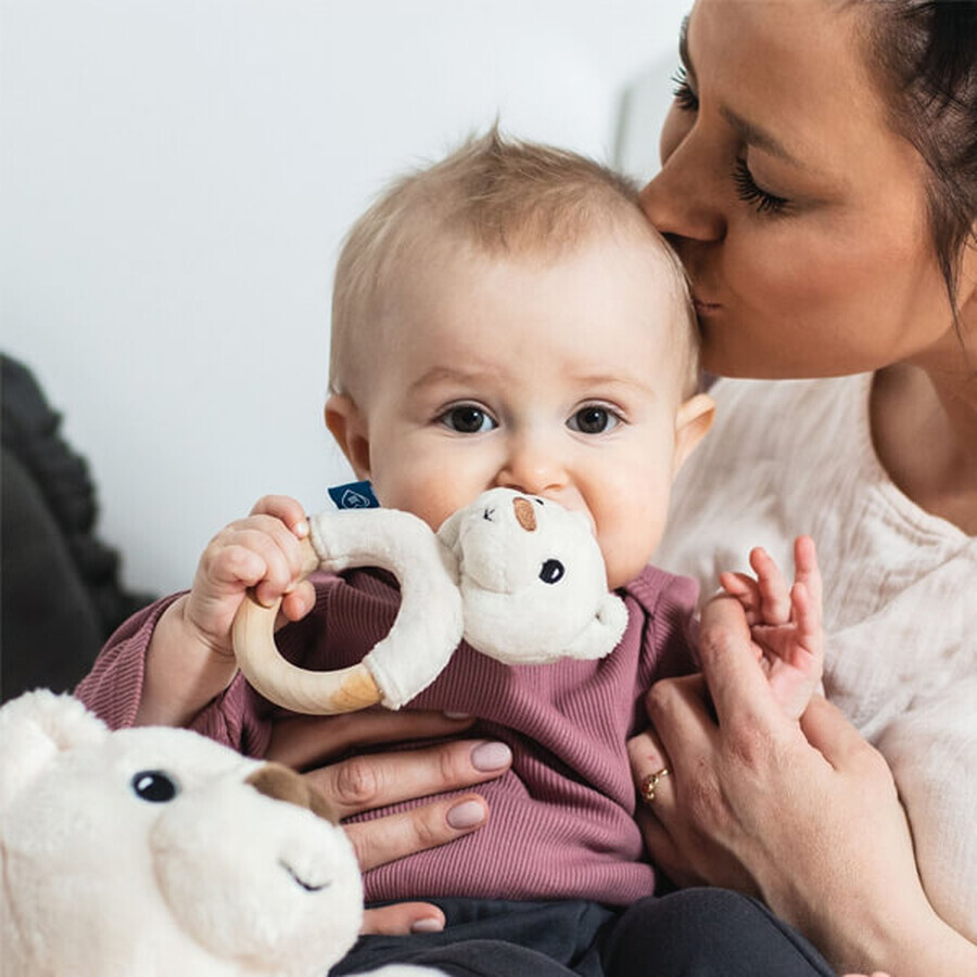 Whisbear, dentiera in legno, orso bianco, dopo i 3 mesi, 1 pezzo