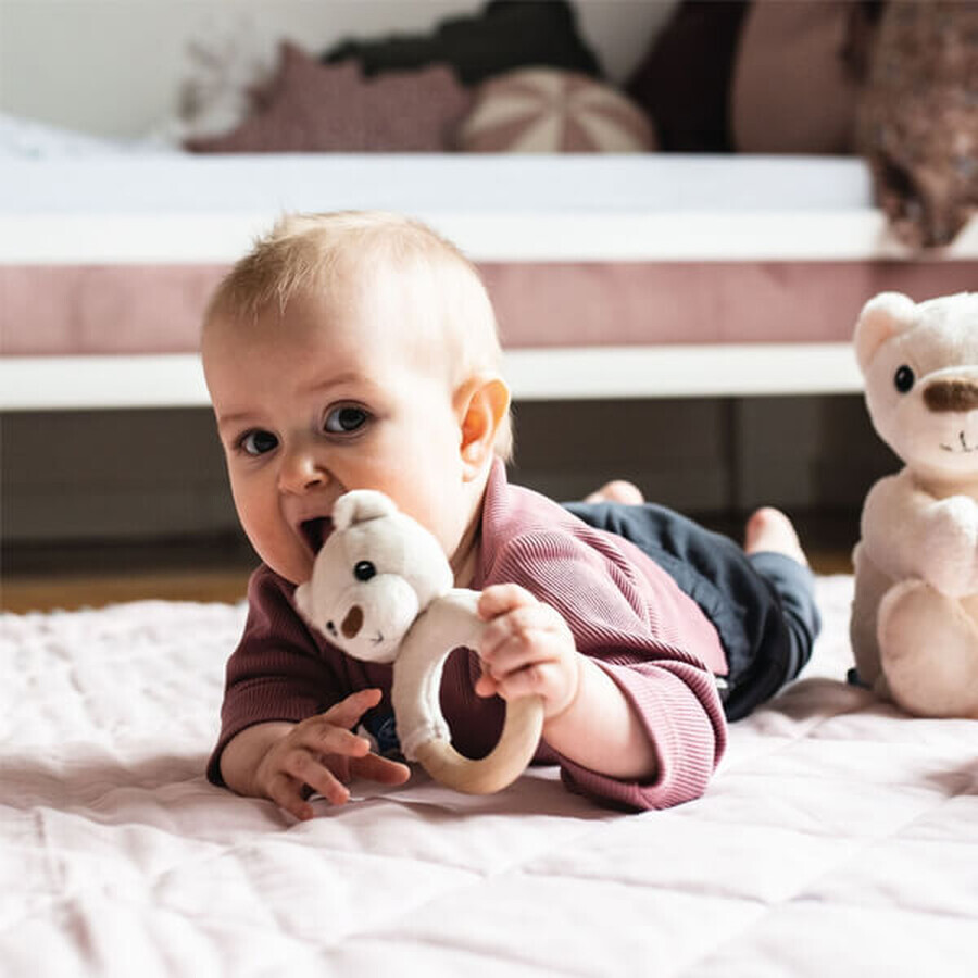 Whisbear, dentiera in legno, orso bianco, dopo i 3 mesi, 1 pezzo