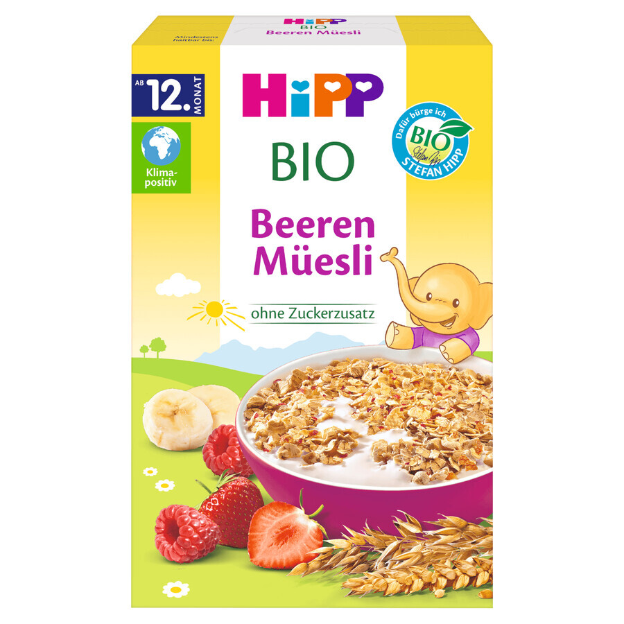 Winkel op HIPP Bio Meergranen Muesli, aardbeien en frambozen, zonder toegevoegde suiker, vanaf 12 maanden, 200 g HIPP Bio Meergranen Muesli, aardbeien en frambozen, zonder toegevoegde suiker, vanaf 12 maanden, 200 g