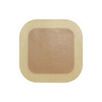 Granuflex Bordered, medicazione idrocolloidale, 6 cm x 6 cm, 1 pezzo Granuflex Bordered, medicazione idrocolloidale, 6 cm x 6 cm, 1 pezzo