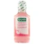 Sunstar Gum SensiVital+, enjuague bucal, reduciendo la hipersensibilidad dental, 300 ml