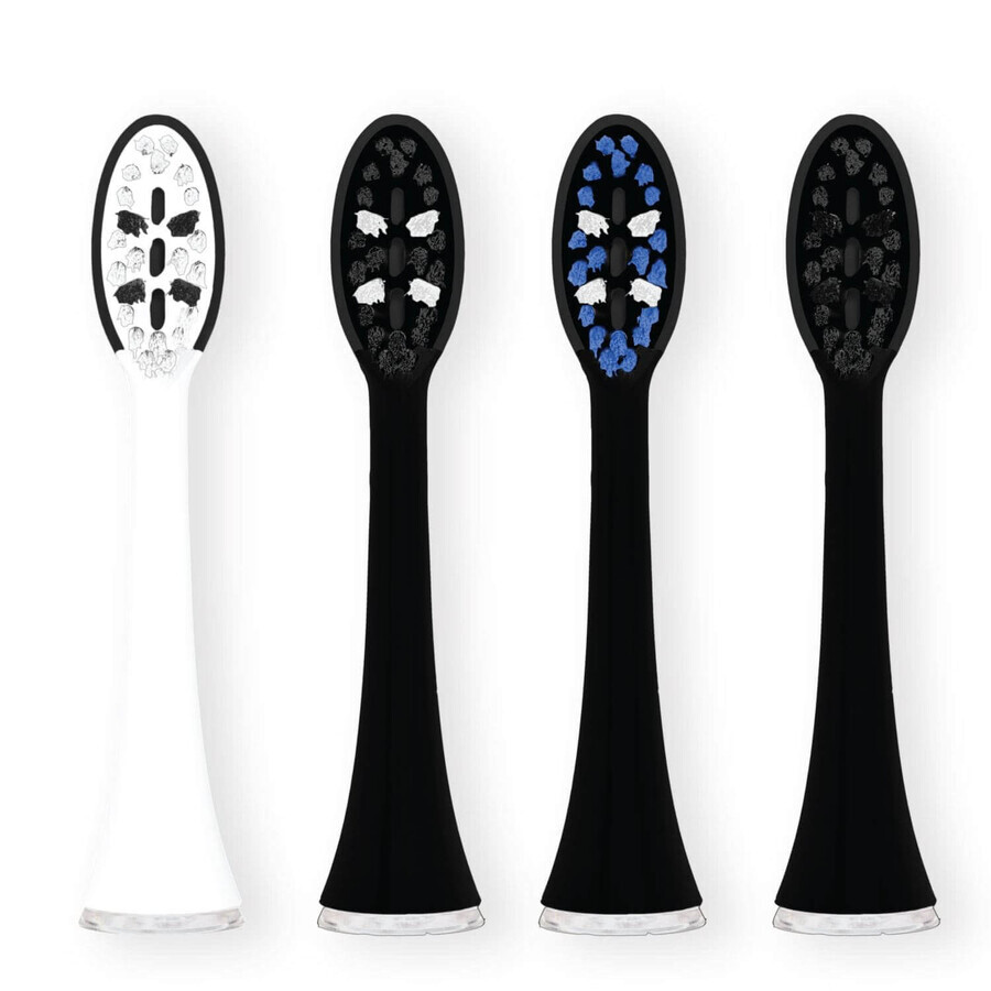 Boutique Vitammy, embouts de remplacement pour brosse à dents sonique Onyx, 4 pièces Vitammy, embouts de remplacement pour brosse à dents sonique Onyx, 4 pièces