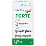 Lactoangin Forte, spray pour la gorge, goût menthe, 30 g Lactoangin Forte, spray pour la gorge, goût menthe, 30 g