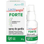 Lactoangin Forte, spray pour la gorge, goût menthe, 30 g