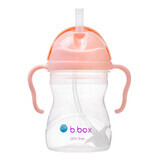 B.Box, bottle with straw, Gelato Tutti Frutti, from 6 months, 240 ml