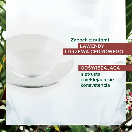 Klorane, sérum anticaída con quinina y edelweiss orgánico, 100 ml