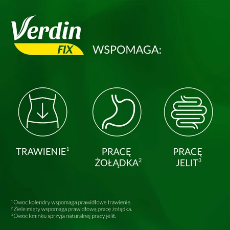 Verdin Fix mit Waldfrüchten, 20 Portionsbeutel