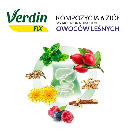 Verdin Fix mit Waldfrüchten, 20 Portionsbeutel