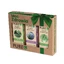 Pureo Health Power set, natuurlijke essentiële oliën, paleo, lavendel, eucalyptus, 3 x 10 ml