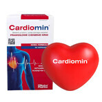 Cardiomin, 60 gélules + Boule anti-stress en forme de cœur, 1 gratuite Cardiomin, 60 gélules + Boule anti-stress en forme de cœur, 1 gratuite