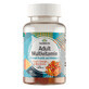 Swanson Adult Multivitamin, jelly beans, saveur p&#234;che-orange-fraise, 60 pi&#232;ces
