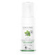 Logona Purify, mizellarer Reinigungsschaum mit Bio-Minze und Salicyls&#228;ure, Mischhaut und unreine Haut, 100 ml
