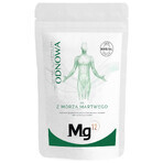 Mg12 Renewal, sel de la mer morte, 1 kg