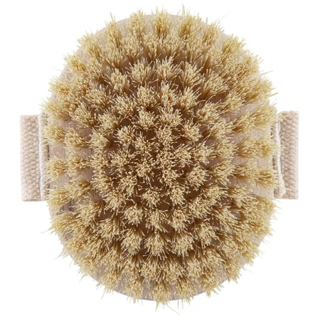 Bocioland, brosse de massage corporel en bois, avec poils en tampico naturel, 1 pièce