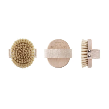 Bocioland, brosse de massage corporel en bois, avec poils en tampico naturel, 1 pièce