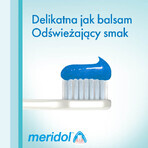 Meridol Complete Care, dentifricio per gengive e denti sensibili, 75 ml Meridol Complete Care, dentifricio per gengive e denti sensibili, 75 ml