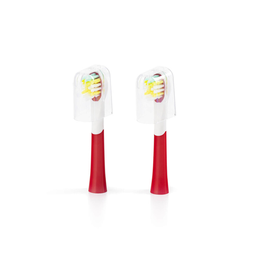 Buy Oromed Oro-Sonic, sonic toothbrush tips for children, boy, 2 pieces Oromed Oro-Sonic, sonic toothbrush tips for children, boy, 2 pieces