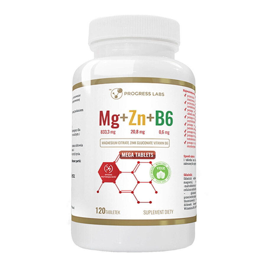 Shop Fortschritt Labs Mg+Zn+B6, 120 Tabletten Fortschritt Labs Mg+Zn+B6, 120 Tabletten
