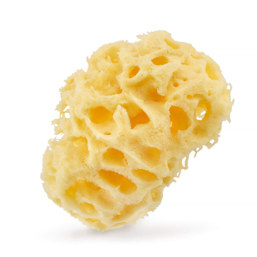 Hhuumm, natural sea sponge for bath, yellow, 04H, 9.5 cm