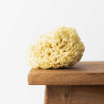 Hhuumm, natural sea sponge for bath, yellow, 04H, 9.5 cm
