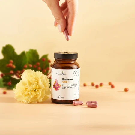 Aura Herbals Cranberry Uro+, 60 Kapseln