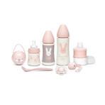 Set Suavinex Welcome Baby, roz
