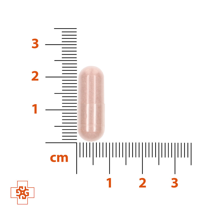 Estratto di semi d'uva OPC, 60 capsule