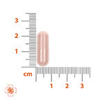 Estratto di semi d'uva OPC, 60 capsule Estratto di semi d'uva OPC, 60 capsule