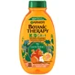 Garnier Botanic Therapy Kids 2-in-1 shampoo and conditioner for kids, Lion King, 250 ml