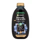 Garnier Botanic Therapy, balancing shampoo for dry hair and oily scalp, activated carbon, 400 ml