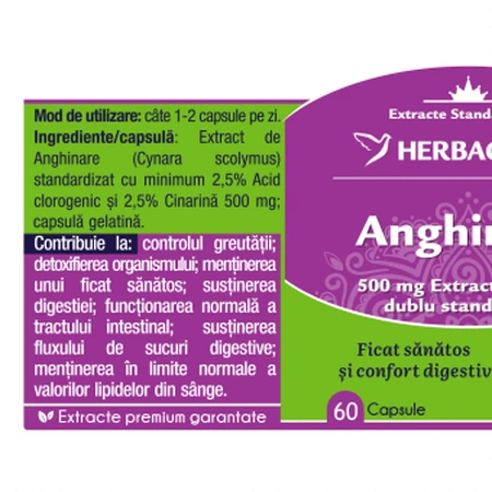 Herbagetica Artischocke x 60 Stück