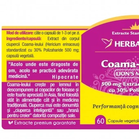 Herbagetica Lion's Mane Lion's Mane x 60cps